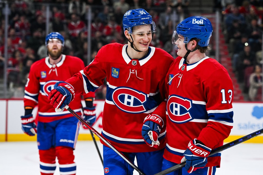 Playoff Hopes and Demidov: The Penultimate Week in&nbsp;Hockey